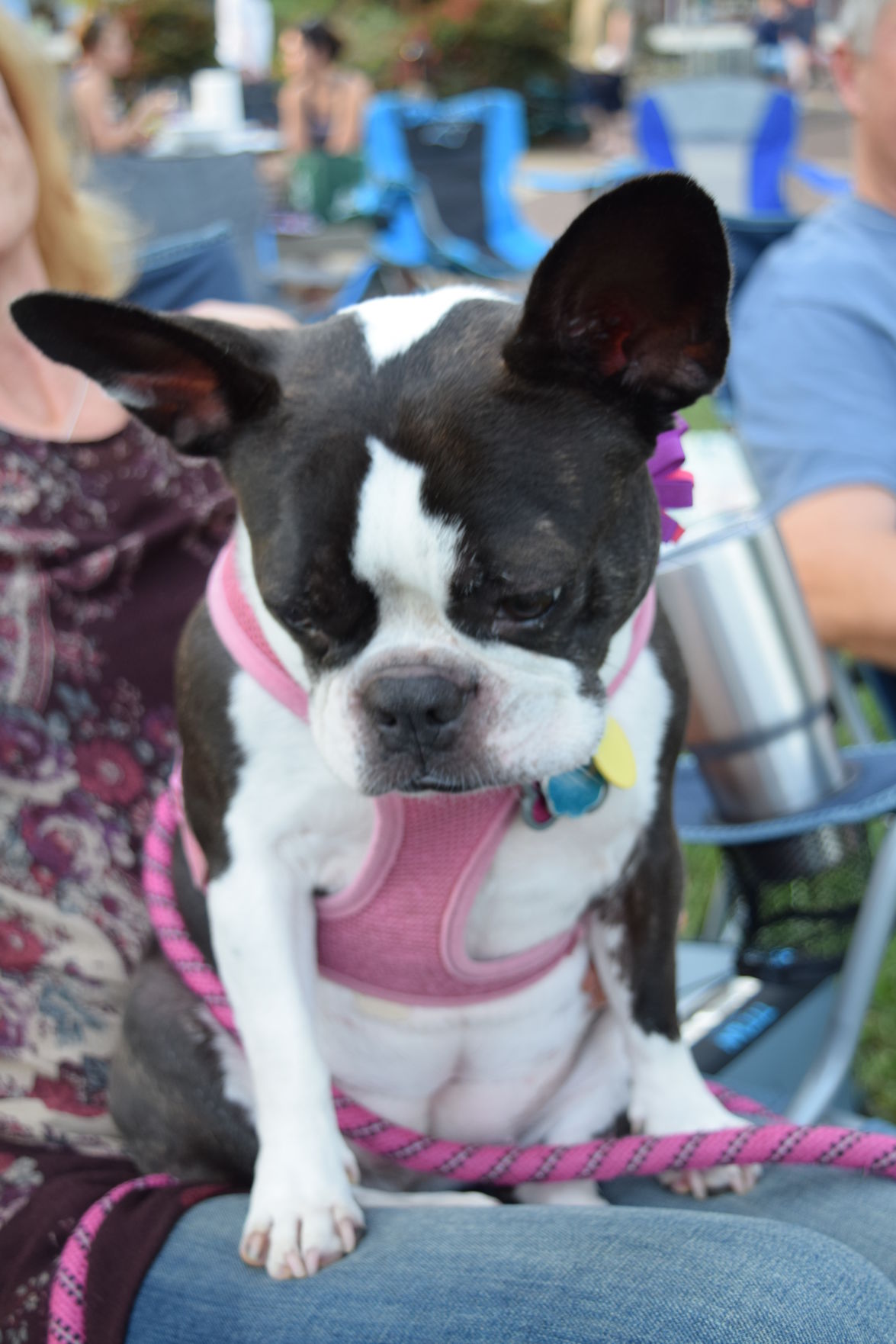 DSC_0051.jpg